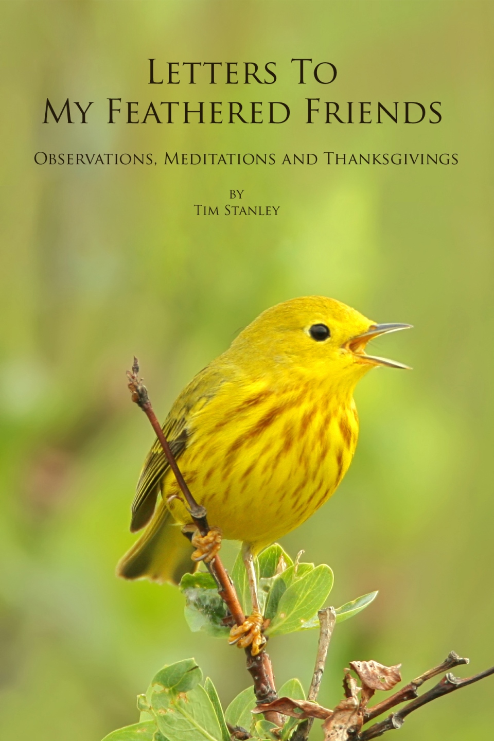 2 Timothy Publishing: Letters To My Feathered Friends, Observations, Meditations & Thanksgivings