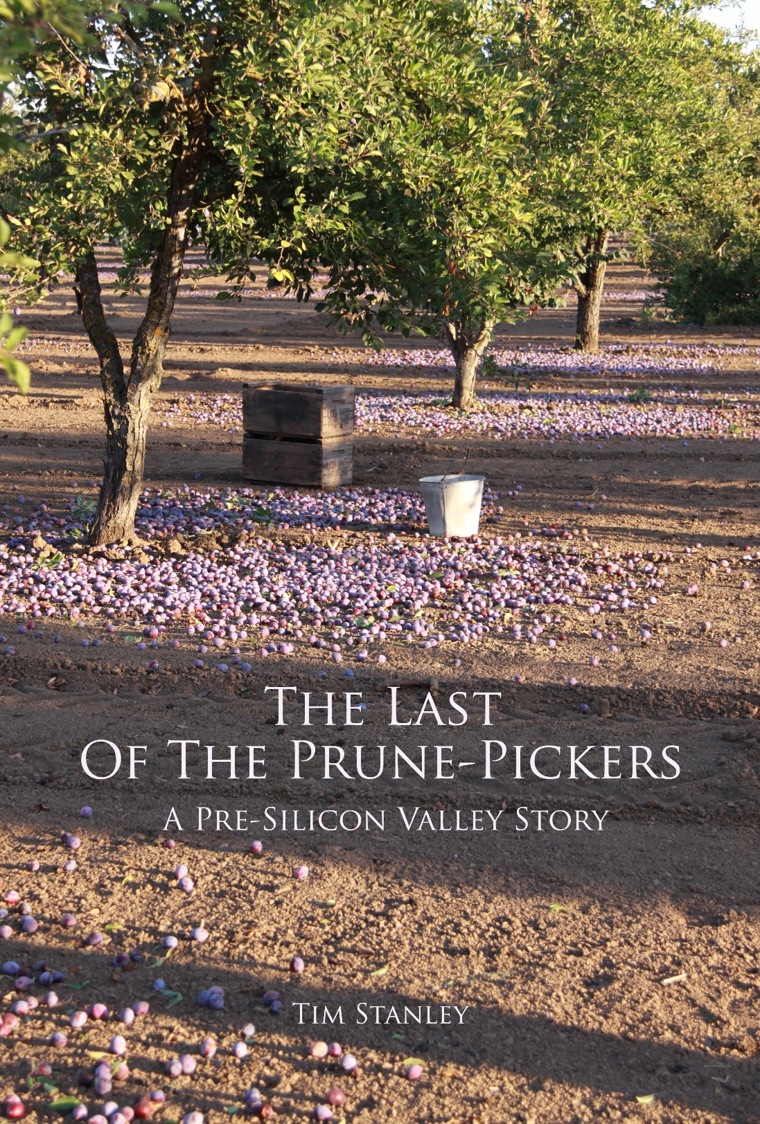 2 Timothy Publishing: The Last Of The Prune Pickers, A Pre-Silicon Valley Story